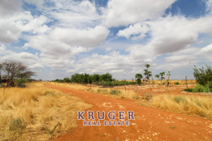 Kruger Real Estate
