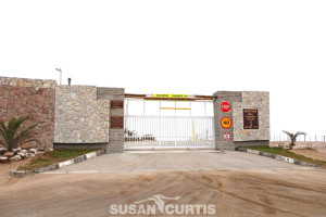 Susan Curtis Estates