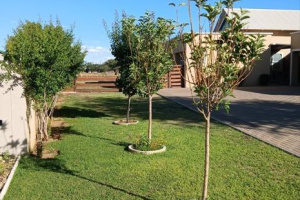 Suzaan Hennig Real Estate