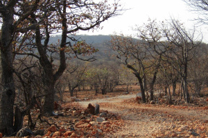 Desert Horizon Real Estate