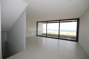 Susan Curtis Estates