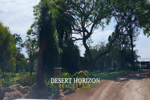 Desert Horizon Real Estate