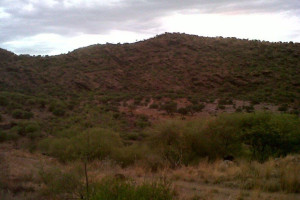 Joseph & Snyman Pty Ltd