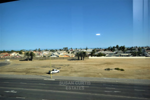 Susan Curtis Estates