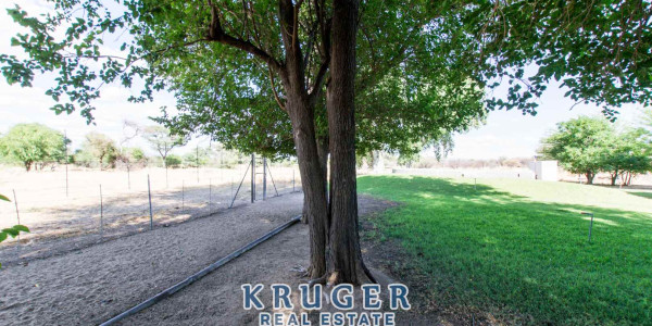 Agricultural smallholding situated approximate 20 km North-East of Omaruru on the banks of the Omaruru river