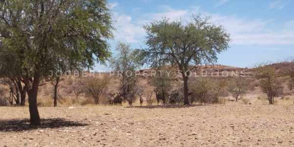 EXCEPTIONAL INVESTORS OPPORTUNITY GAME FARM FOR SALE IN THE SOUTH OF NAMIBIA