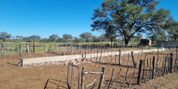 CATTLE FARM FOR SALE IN GOBABIS DISTRICT: BUITEPOS