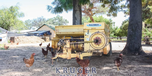 Agricultural smallholding situated approximate 20 km North-East of Omaruru on the banks of the Omaruru river