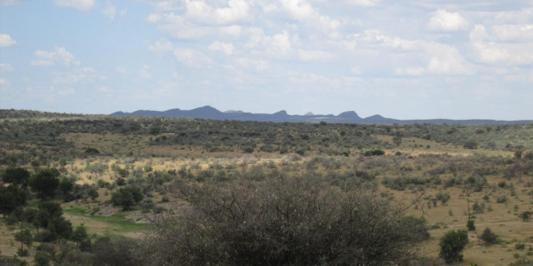 WELL ESTABLISHED BEAUTIFUL GAME FARM FOR SALE N$ 65 000 000.00 PTY (LTD)