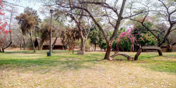 Nkwazi Lodge! Magnificent view, stunning beauty on the banks of the Kavango river