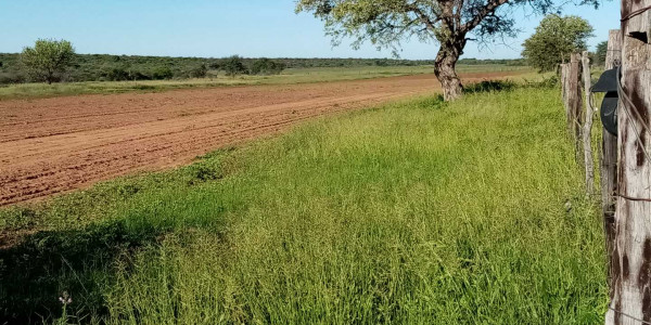 Otavi Agriculture Small Holding Plots - For Sale Now