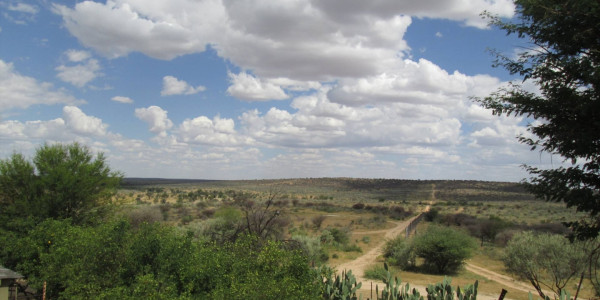 WELL ESTABLISHED BEAUTIFUL GAME FARM FOR SALE N$ 65 000 000.00 PTY (LTD)