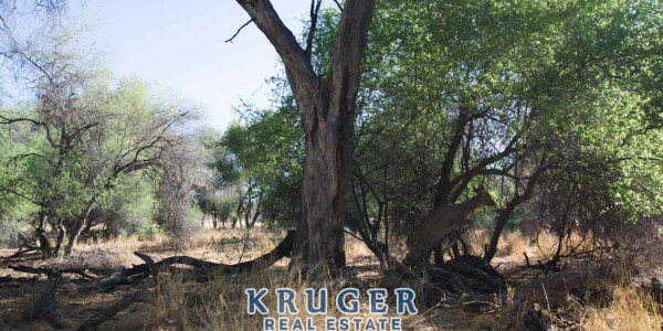 Agricultural smallholding situated approximate 20 km North-East of Omaruru on the banks of the Omaruru river