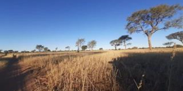 CATTLE FARM FOR SALE IN GOBABIS DISTRICT