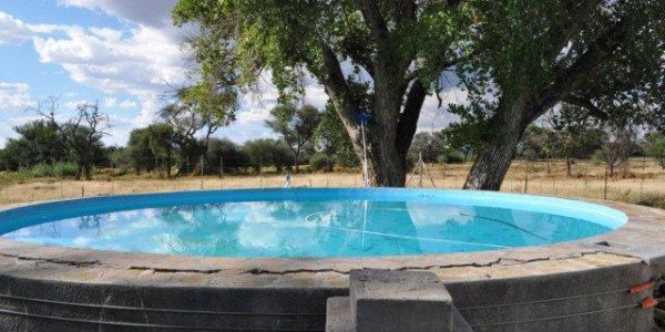 203 hektar plot for Sale, Omaruru