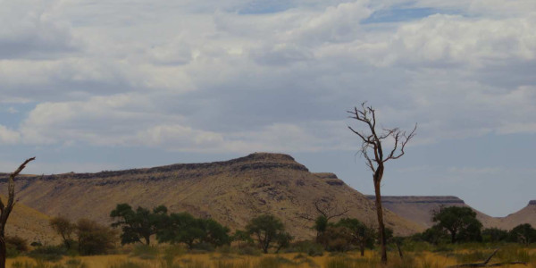 Farm for Sale near Keetmanshoop