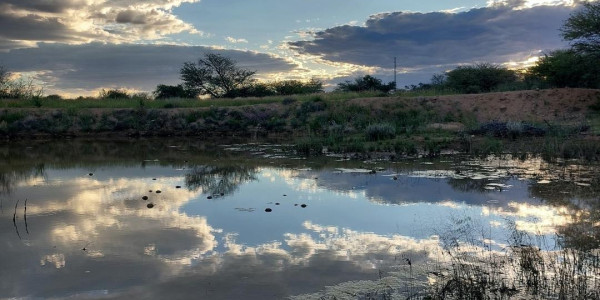 Nestled just 90 km (a quick 45-minute drive) north of Windhoek.