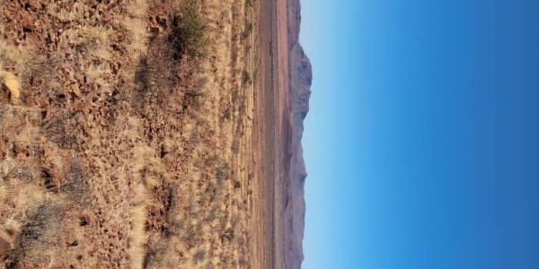 BEAUTIFUL LIVESTOCK / TOURISM / HUNTING FARM FOR SALE NEAR BETTA - NAMIBIA