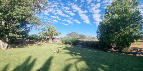 CATTLE FARM FOR SALE IN GOBABIS DISTRICT: BUITEPOS