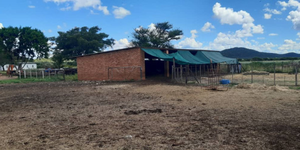 Farm for Sale - Otavi Kombat Region