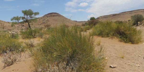 Farm for Sale near Keetmanshoop