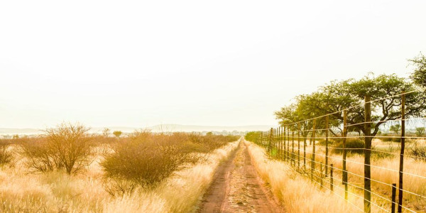 Farm for Sale near Dordabis