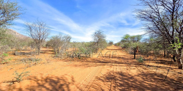 Otjozondjupa Region, Otjiwarongo District, Namibia:  Beautiful Farm for Sale