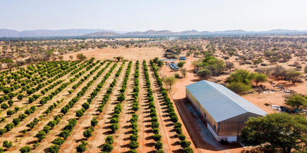 Farm for Sale near Dordabis