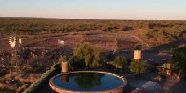 CATTLE FARM FOR SALE IN GOBABIS DISTRICT