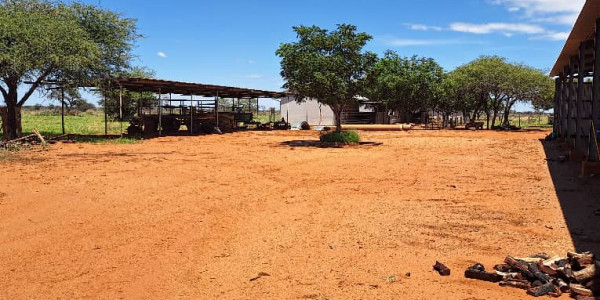 Cattle & Game Farm in the Hochfeld area.