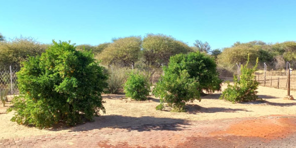 Agents Marlene, Leon and Jan presents this property, 30 km from Okahandja on the B2-road.