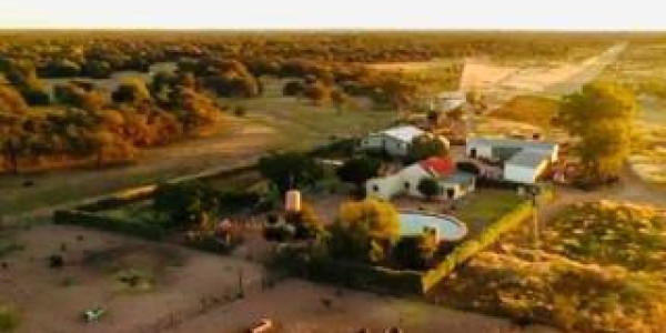 CATTLE FARM FOR SALE IN GOBABIS DISTRICT