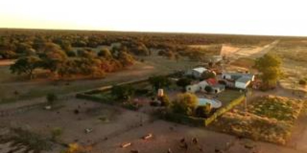 CATTLE FARM FOR SALE IN GOBABIS DISTRICT