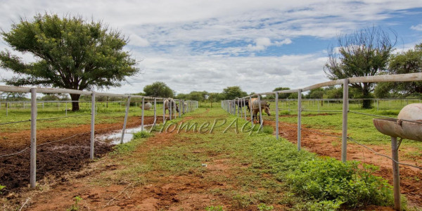 Otjozondjupa Region, Otjiwarongo area:  A Horse Lovers Dream Hideaway