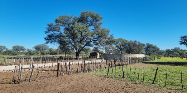 CATTLE FARM FOR SALE IN GOBABIS DISTRICT: BUITEPOS