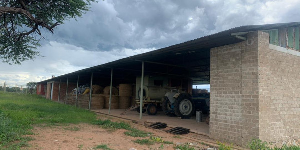 Well established game / hunting farm, Otavi