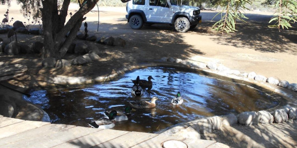 Agricultural plot 60 Km from Swakop where the Swakop river and Khan river meet