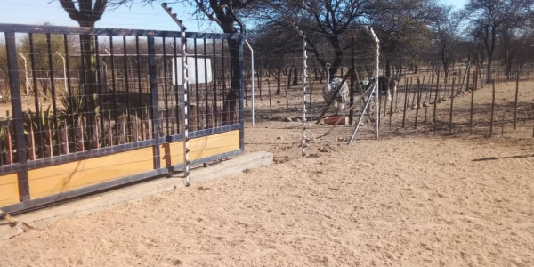 Well developed plot/rest camp for sale - Okahandja