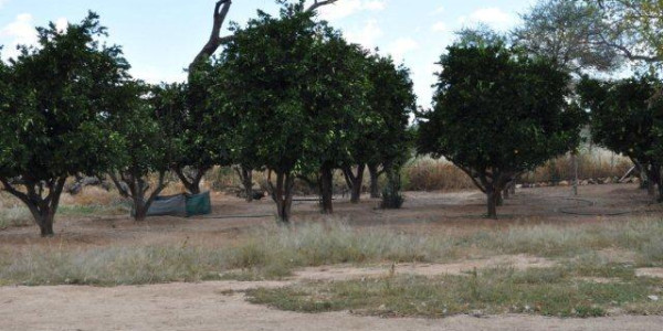 203 hektar plot for Sale, Omaruru