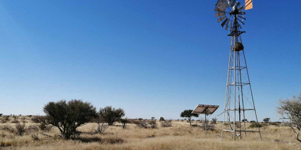 GORGEOUS LIVESTOCK FARM FOR SALE IN MARIENTAL - NAMIBIA