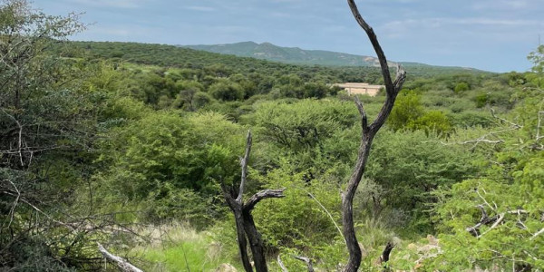 Ozombanda Nature Estate Association (ONEA)