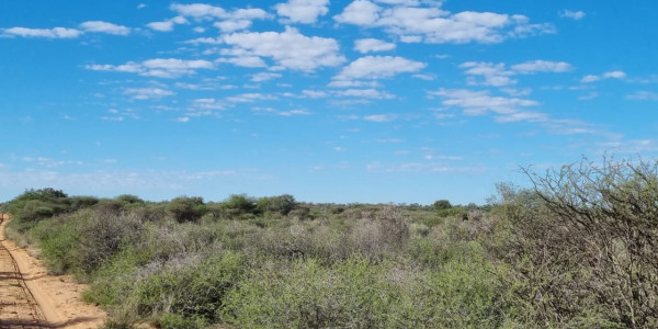 CATTLE FARM FOR SALE IN GOBABIS DISTRICT: BUITEPOS