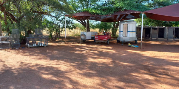 Smallholding for sale - Otjiwarongo