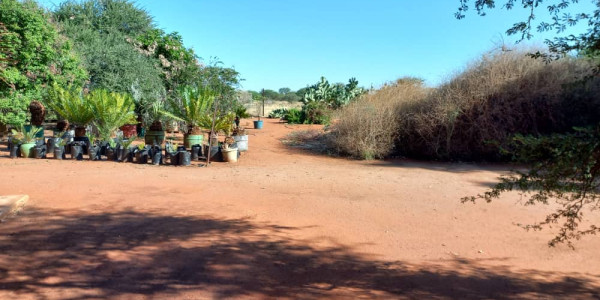 Smallholding for sale - Otjiwarongo