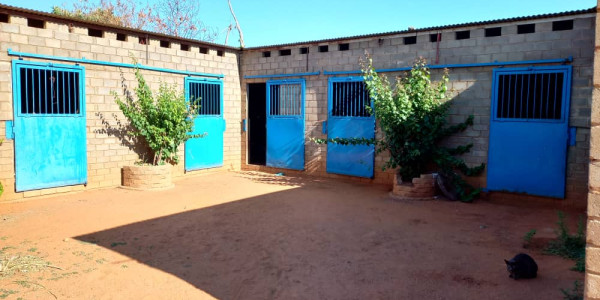 Smallholding for sale - Otjiwarongo