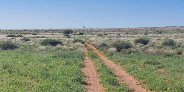 GAME FARM FOR SALE IN NOORDOEWER DISTRICT: