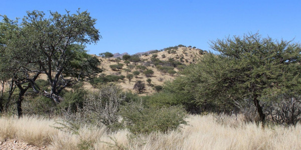 Nubuamis Brakwater 25HA Plot for N$2,150,000