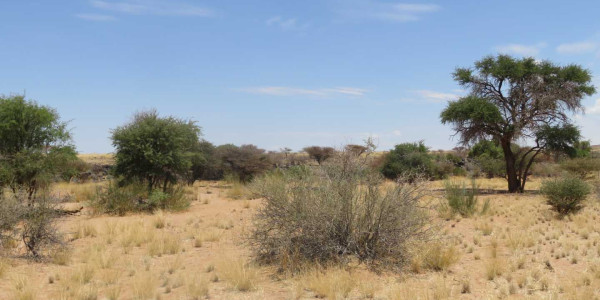 Farm for Sale near Keetmanshoop