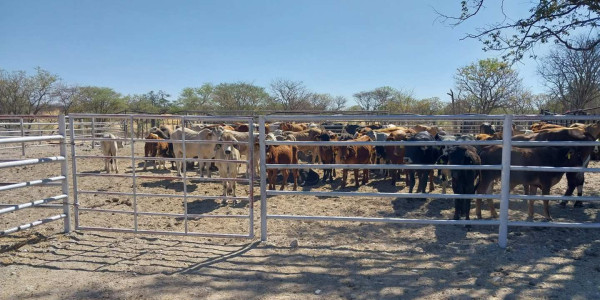 Cattle Farm for sale near Omaruru and Kalkfeld