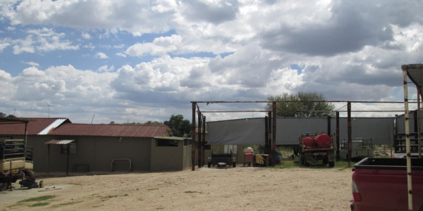 WELL ESTABLISHED BEAUTIFUL GAME FARM FOR SALE N$ 65 000 000.00 PTY (LTD)